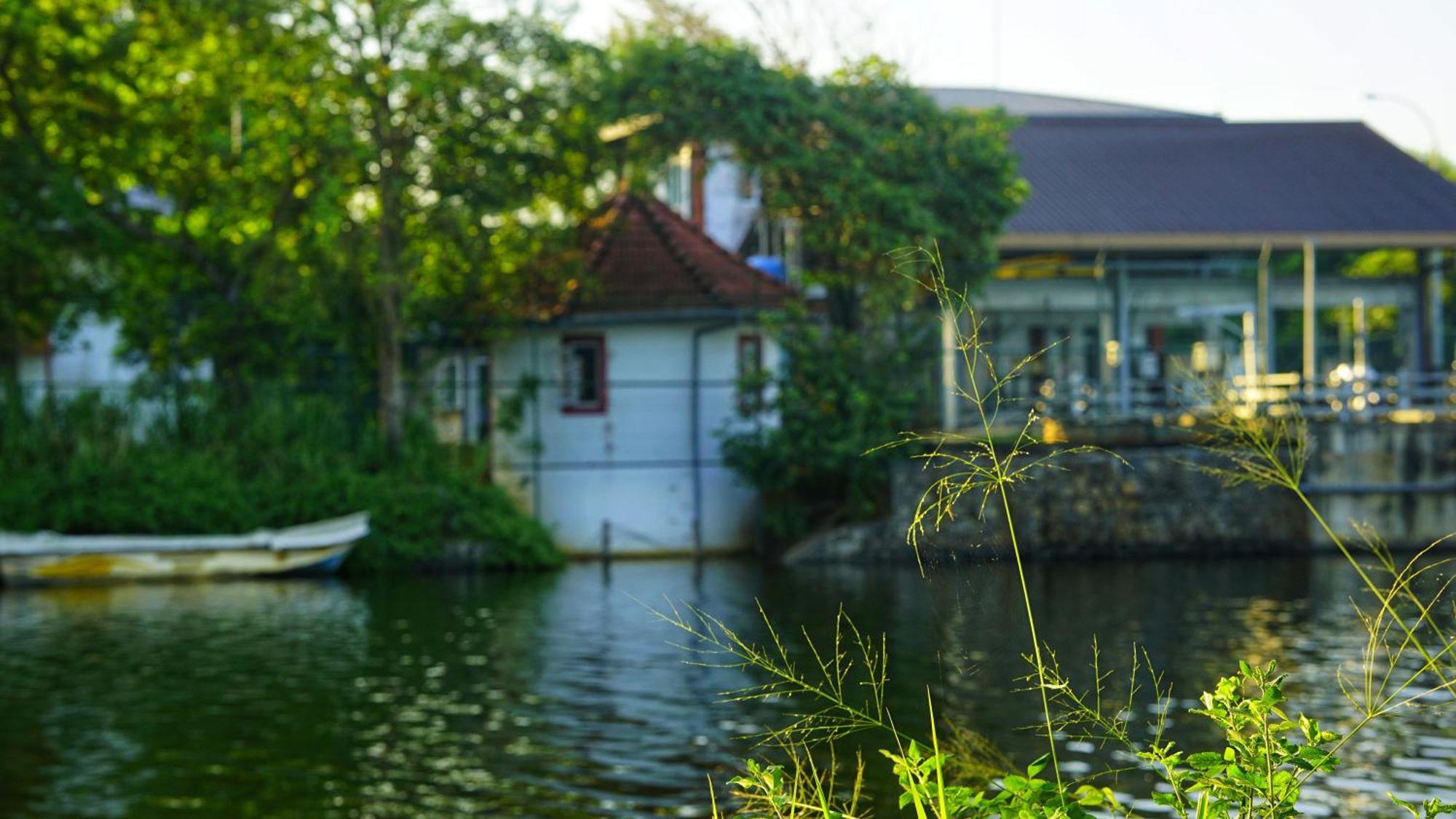 Lake Island Home Stay 담불라 외부 사진